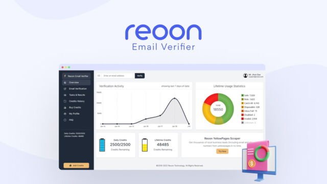 Reoon Email Verifier bulk list validation results