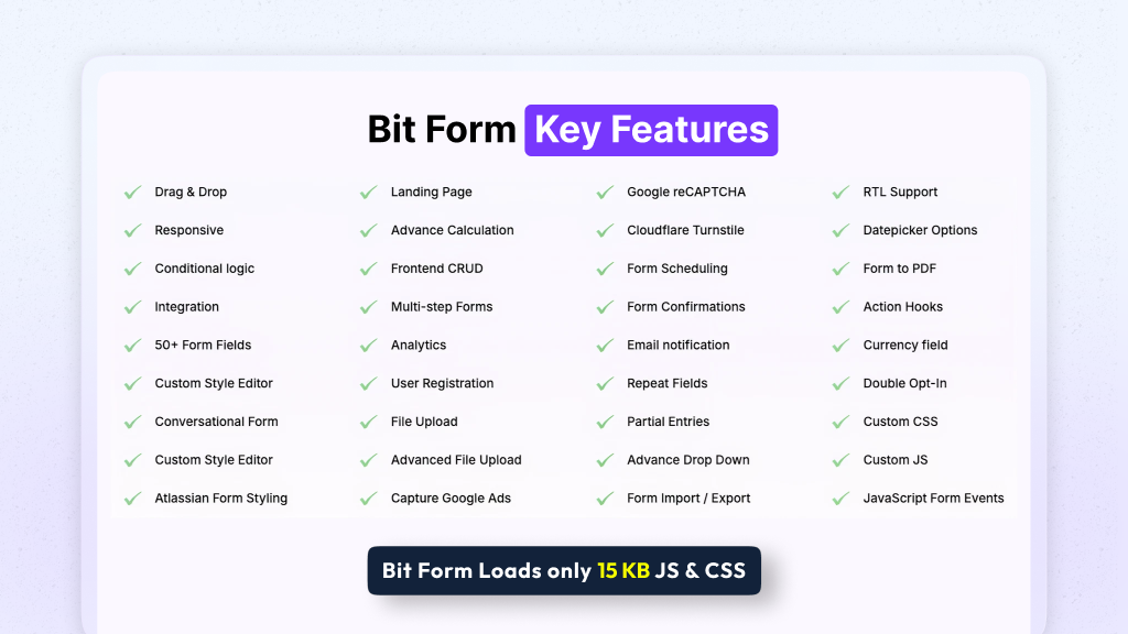 Bit Form key features overview showing drag-and-drop builder and style editor
