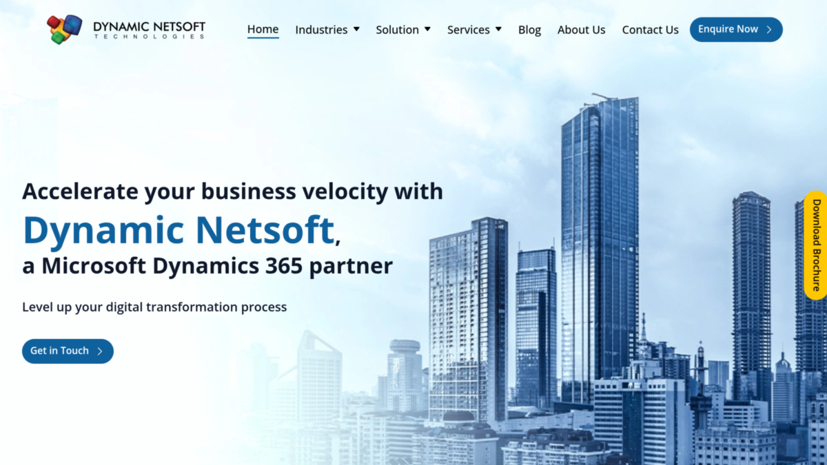 Dynamic Netsoft Solutions