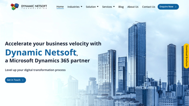 Dynamic Netsoft Solutions