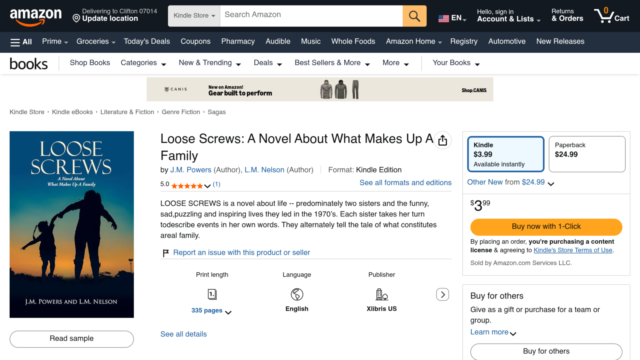 Loose Screws: A Novel About What Makes Up a Family