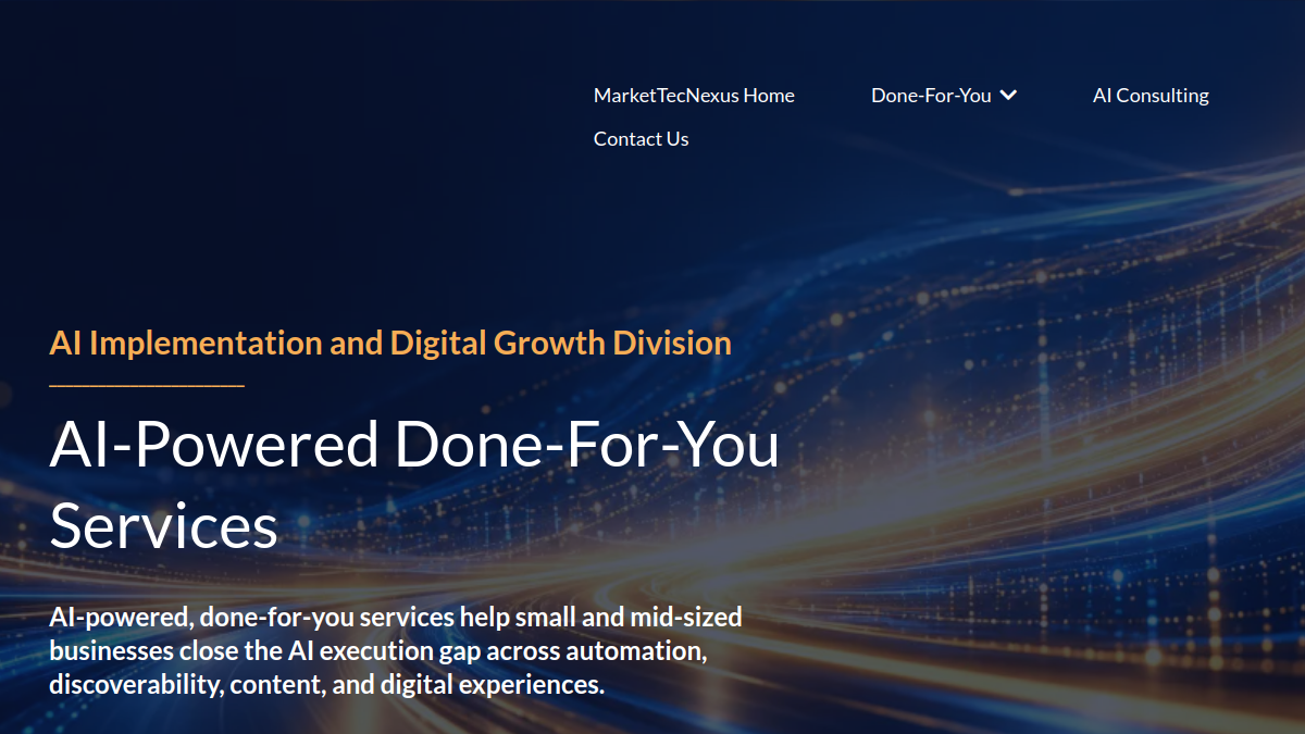 Amplifinity AI Implementation and Digital Growth Division