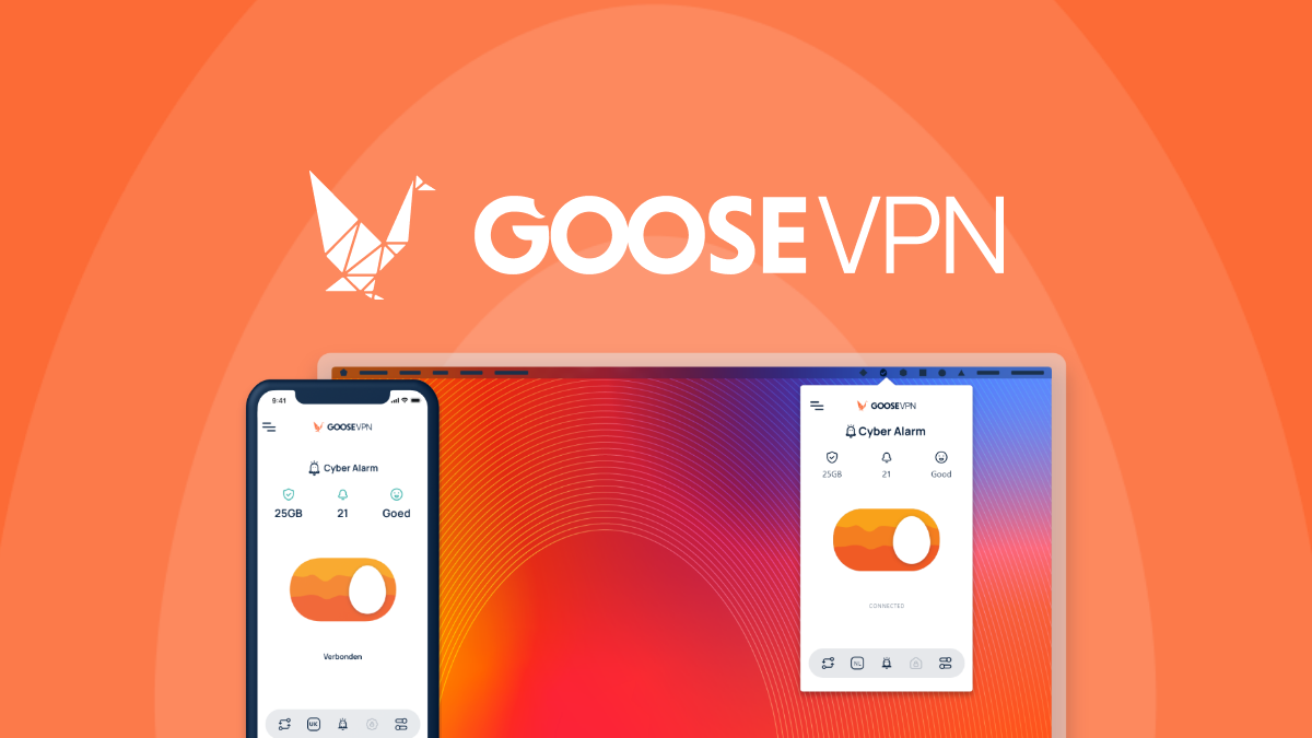 GOOSE VPN app connection screen