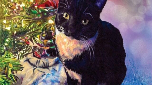 A Christmas Miracle with a Dash of Cumin book cover