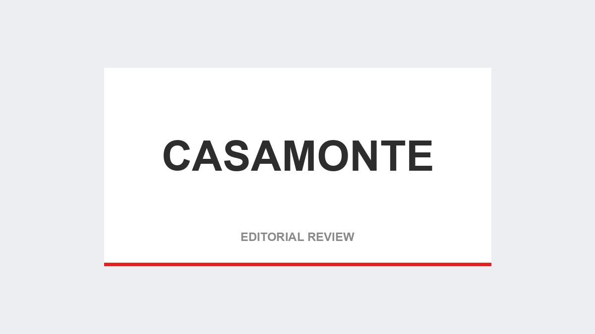 CASAMONTE Custom Murals Review: Art Meets Precision Planning