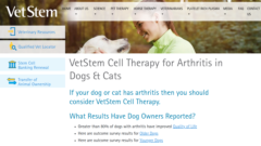 VetStem Cell Therapy