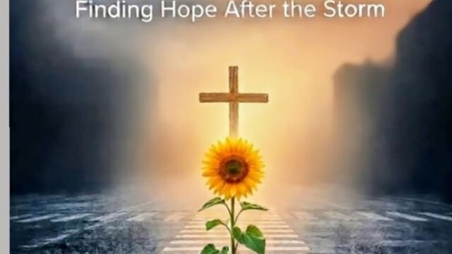 From the Crosswalk to the Cross book cover