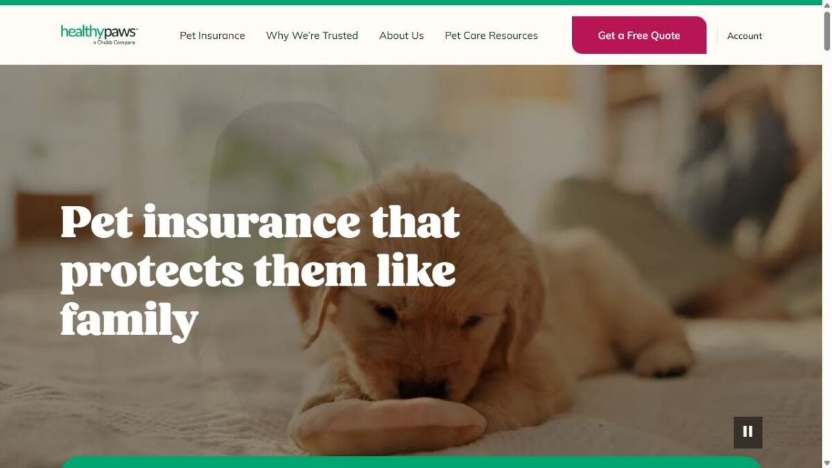 Healthy Paws website homepage