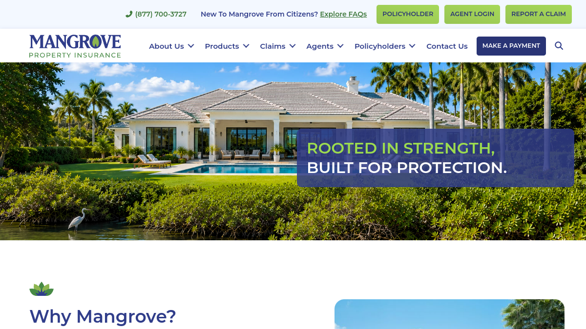 Mangrove Property Insurance
