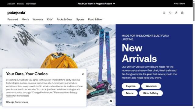 Patagonia website homepage