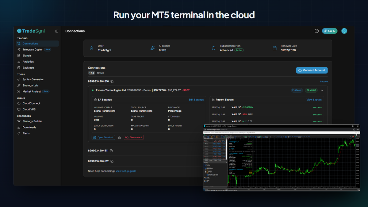 TradeSgnl cloud-hosted MT5 terminal screenshot