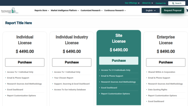 Medium Altitude Long Endurance Market Report