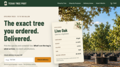 Texas Tree Post