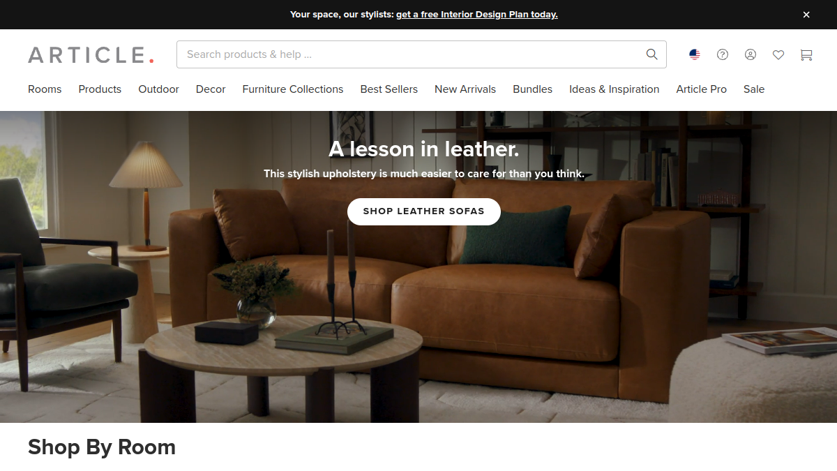 Article website homepage